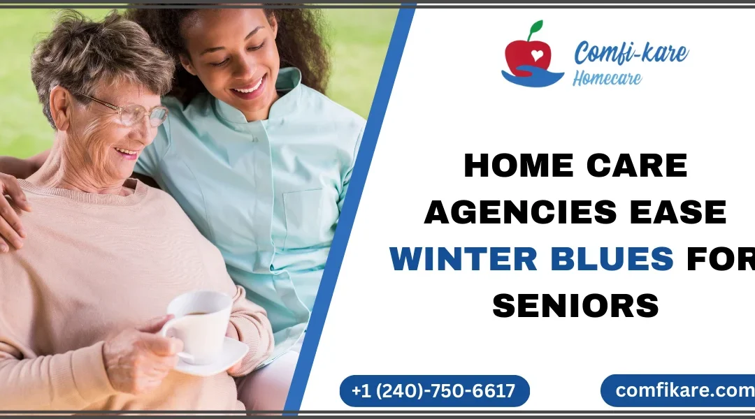 Home care agencies help seniors in winter