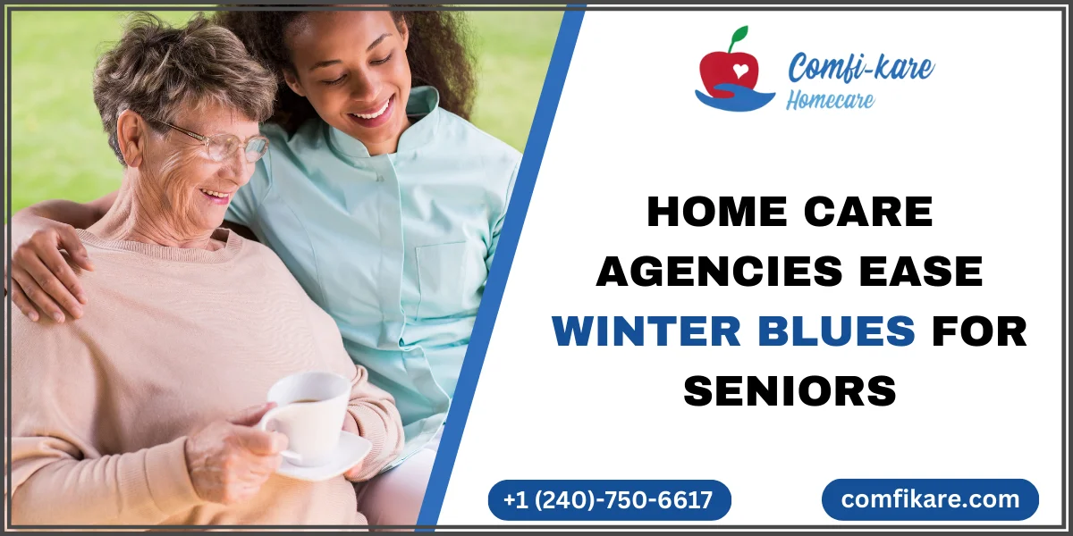 Home care agencies help seniors in winter